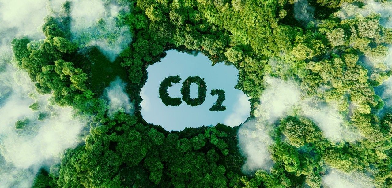 EU-Parlament beschließt Zertifizierung von Kohlenstoffentnahmen im Kampf gegen den (Foto: AdobeStock -  malp 457142881)