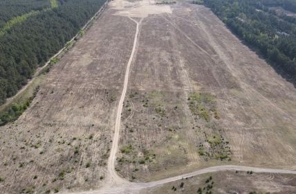 ABO Energy sichert 17 MWp-Solarparkzuschlag in Polen und startet (Foto: ABO Energy GmbH & Co. KGaA)
